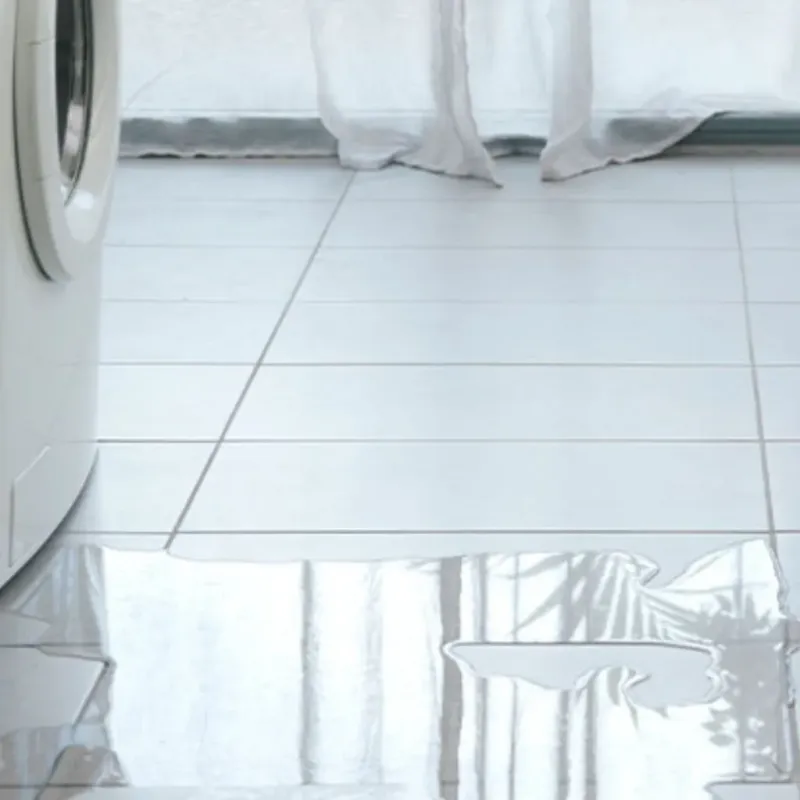 Appliance Leak Cleanup in New Wilmington, PA