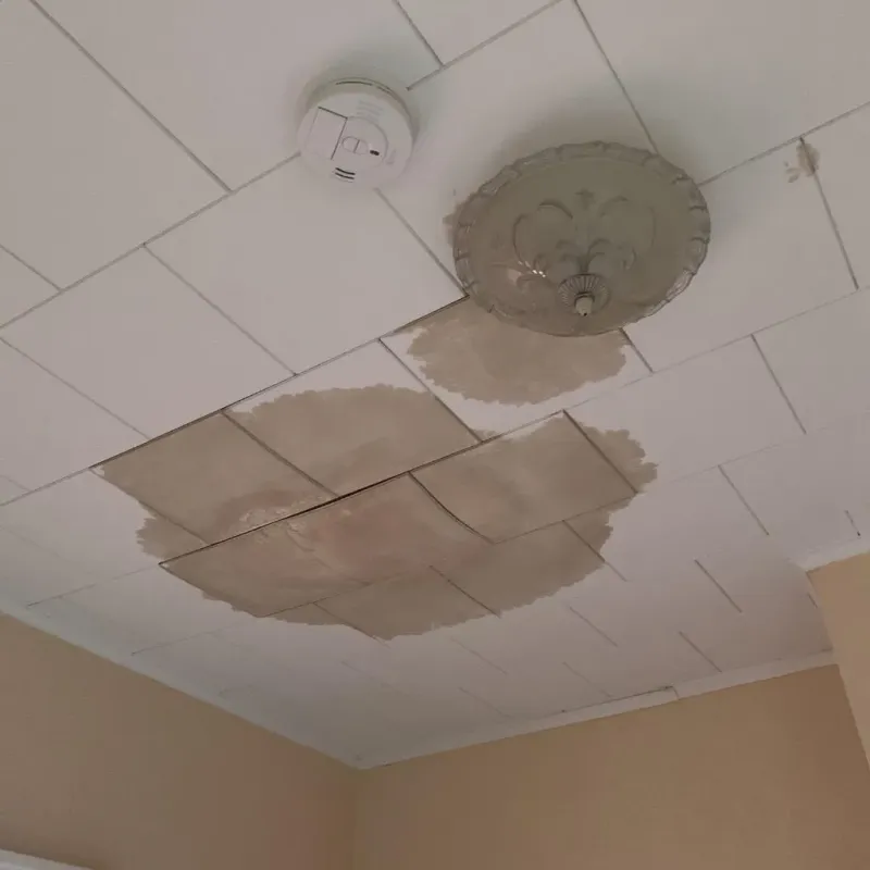 Ceiling Water Damage Repair in New Wilmington, PA