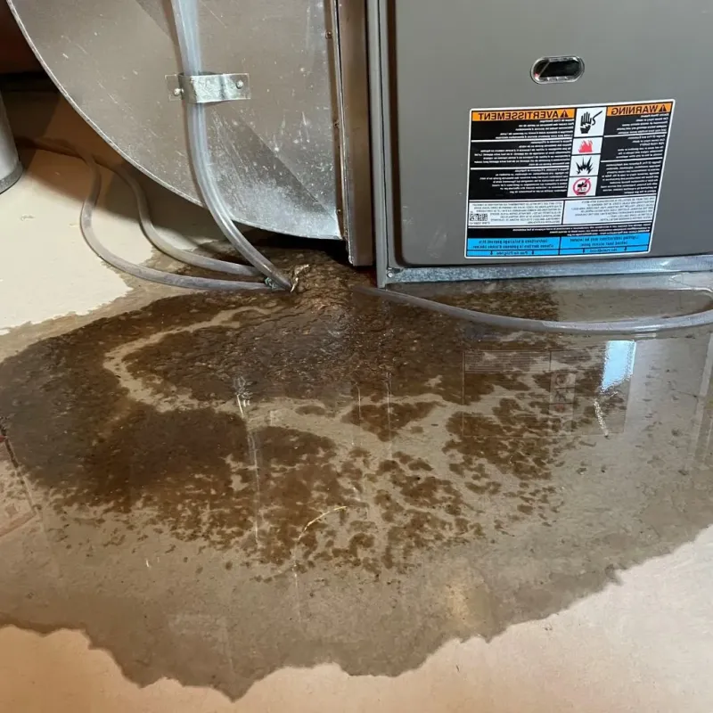 Pipe Burst and Leak Restoration in New Wilmington, PA