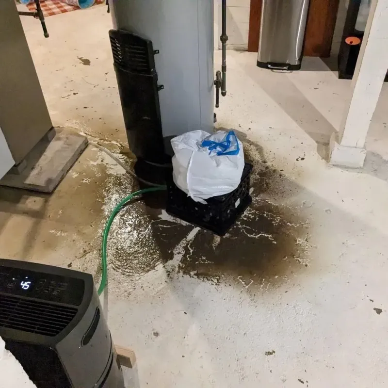 Sewage Backup Cleanup Service in New Wilmington, PA